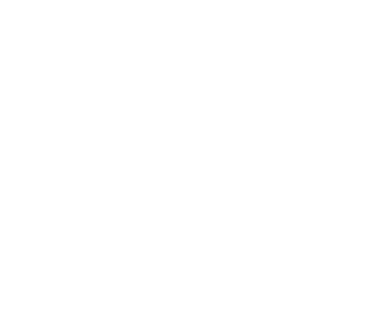 ibis Styles