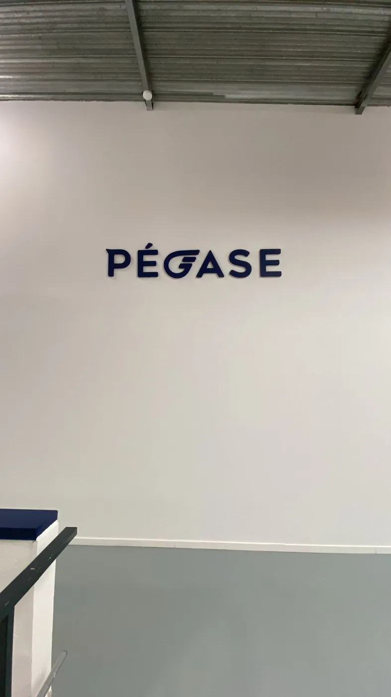 Pégase, lettres en relief, Roissy-en-France, par LADONNA