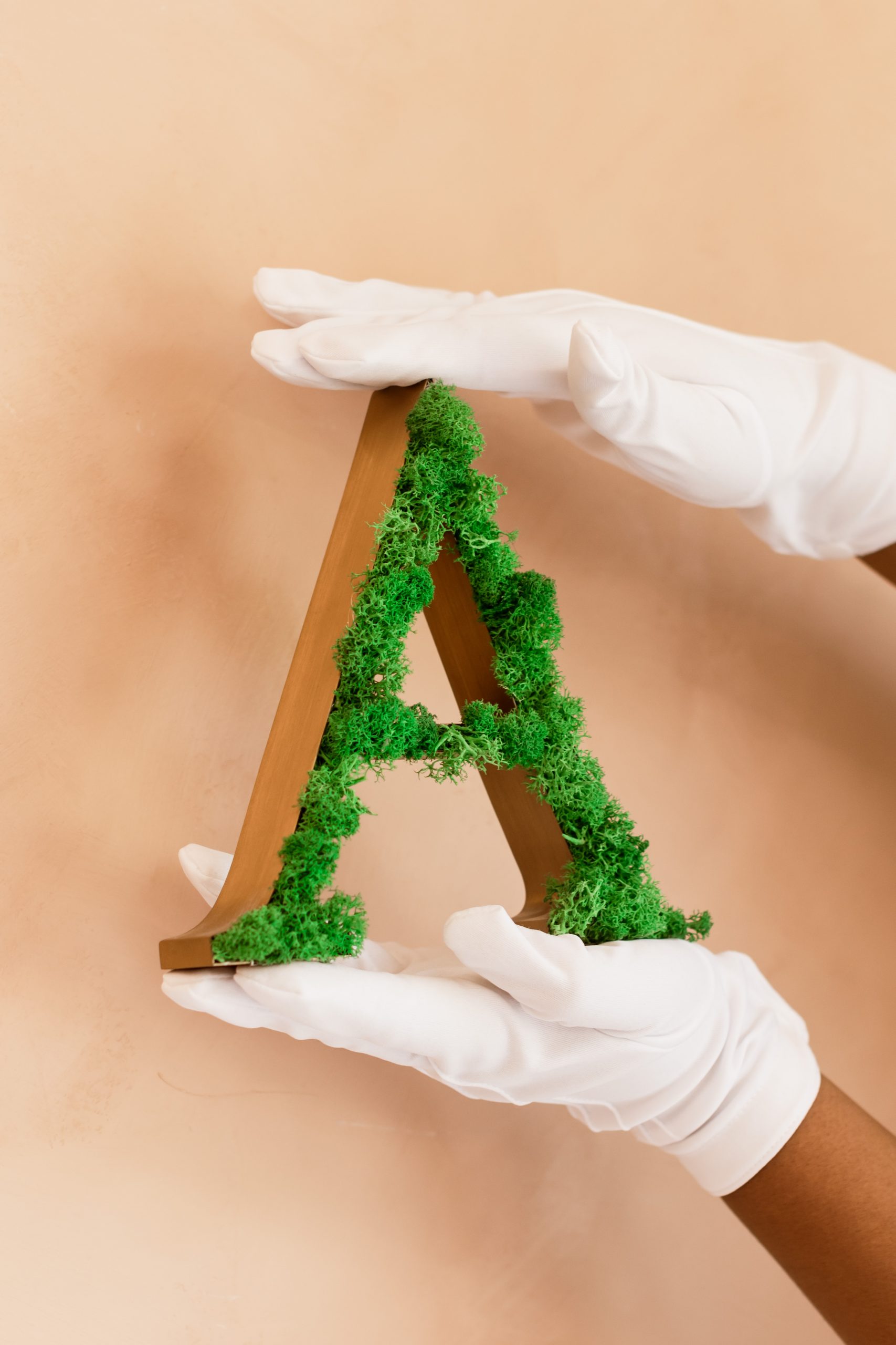 1 LETTRE CRÉATIVE VÉGÉTALE